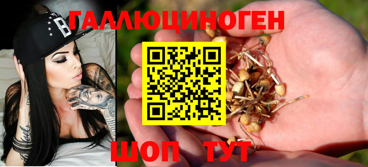 Галлюциногенные грибы Psilocybine cubensis  Вход с VPN  Галлюциногенные грибы мухоморы  Новый Уренгой 